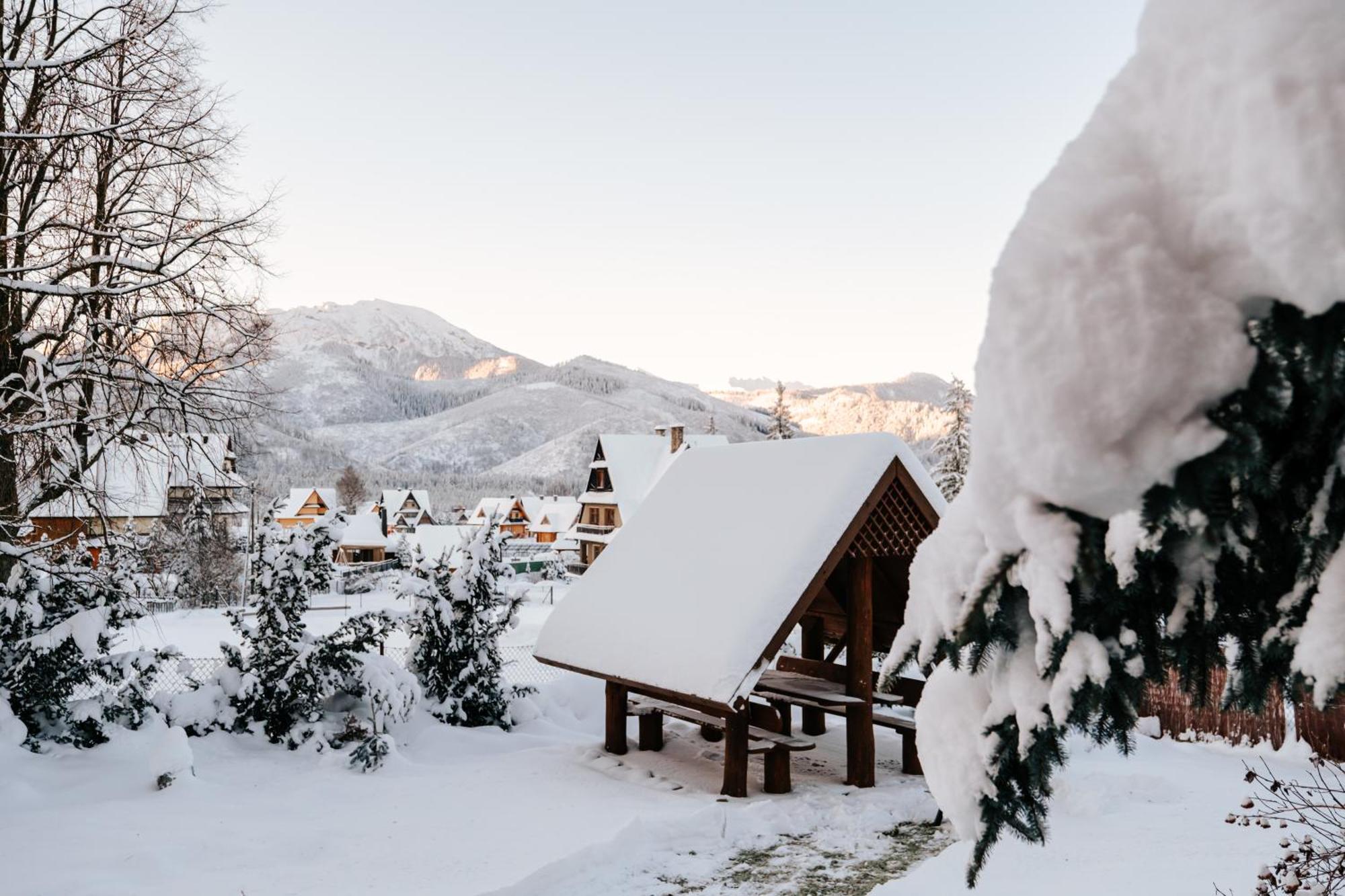 Villa Swiss z jacuzzi, sauną i bilardem Kościelisko Dış mekan fotoğraf
